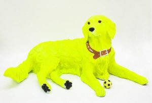 High Vis Dog