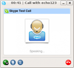 skype test call