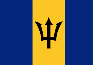 barbados texture